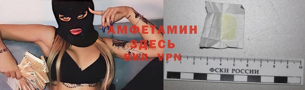 тгк Абаза