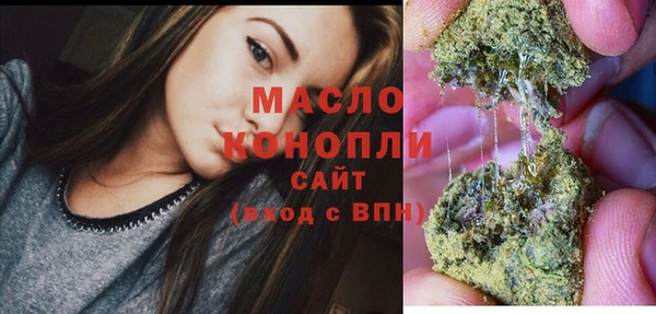 тгк Абаза