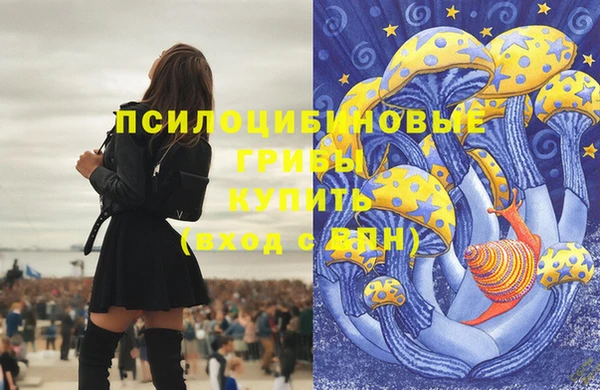 тгк Абаза