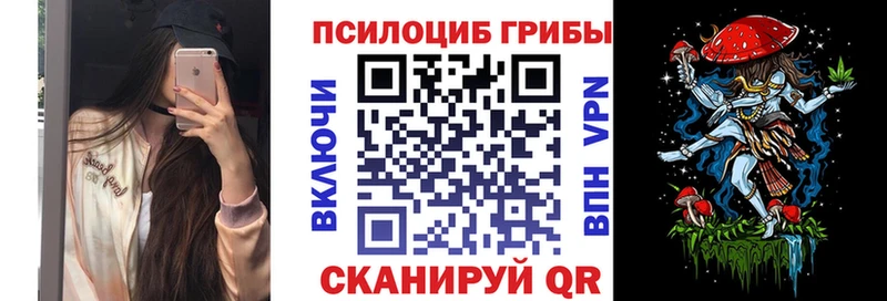 купить наркоту  Зеленогорск  Псилоцибиновые грибы мухоморы 
